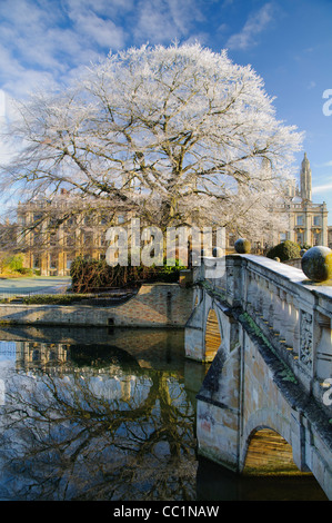 Buche von Clare Bridge, Cambridge, im Winter. Stockfoto