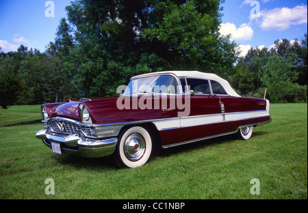 1955-Packard Caribbean Stockfoto