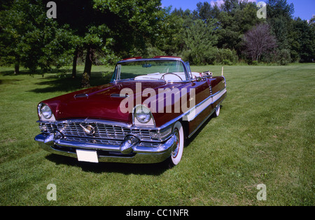 1955-Packard Caribbean Stockfoto