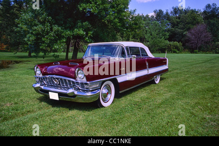 1955-Packard Caribbean Stockfoto