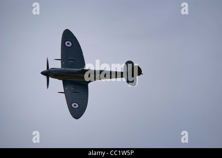 Seafire Display an der Yorkshire Air Museum Supermarine Seafire F Mk XVII Stockfoto