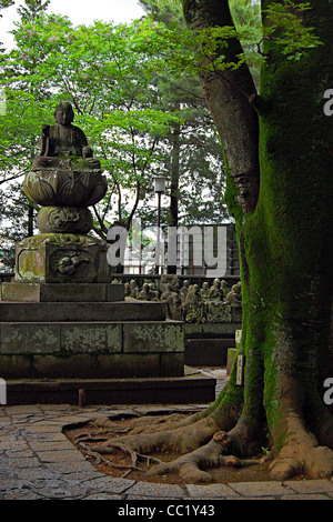 Gohyaku Rakan (500 Statuen), Kita-in Tempel, Kawagoe, Japan Stockfoto