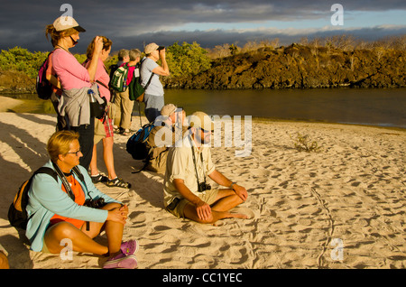 Touristen fotografieren am Flamingo Teich aus Las Bachas Beach, Santa Cruz Island, Galapagos-Inseln, Ecuador Stockfoto