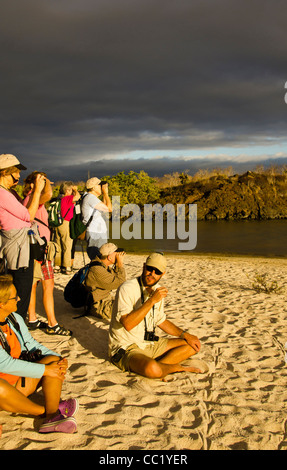 Touristen fotografieren am Flamingo Teich aus Las Bachas Beach, Santa Cruz Island, Galapagos-Inseln, Ecuador Stockfoto