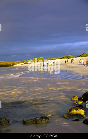 Touristen auf der Insel Santa Cruz, Las Bachas Beach, Ecuador, Galapagos-Inseln Stockfoto