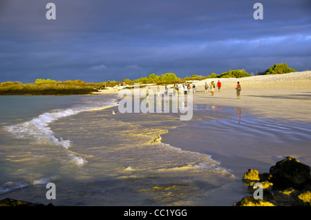 Touristen auf der Insel Santa Cruz, Las Bachas Beach, Ecuador, Galapagos-Inseln Stockfoto