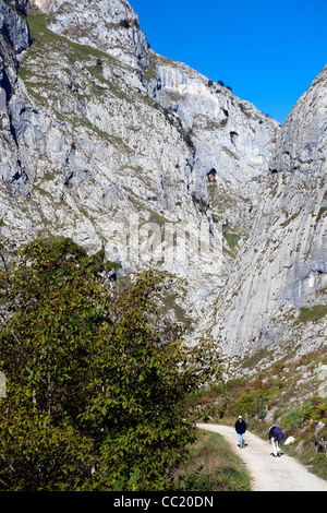 Wanderer in der Nähe von Dorf Bulnes auf das Zentralmassiv von den Picos de Europa Stockfoto