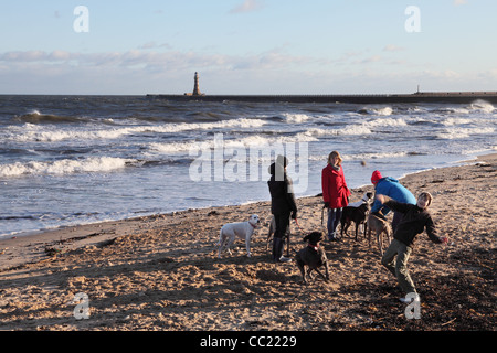 Junge wirft Ball für Hund mit Gruppe von Menschen und Hunden auf Roker Strand Nord Ostengland, UK Stockfoto