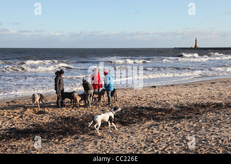 Gruppe von Menschen mit Hunden Roker Strand, Nord-Ost-England, UK Stockfoto