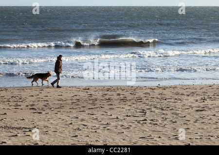 Mann zu Fuß elsässischen Hund Seaburn Strand Nordsee Küste, England, UK Stockfoto