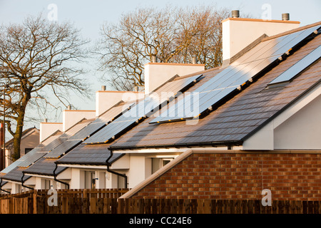 Passivhaus Häuser in Sunderland, die thermisch extrem effizient sind und CO2-neutral. Stockfoto