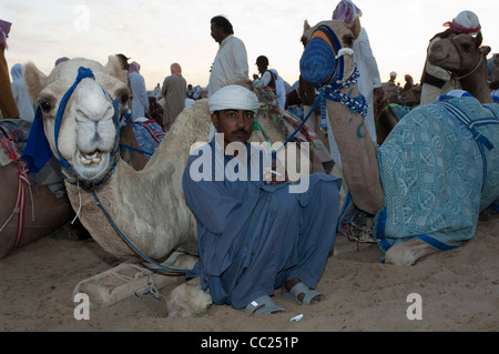 Kamele versammelten sich vor der Jahrhundertwende, Rennen. Kamelrennen in Dubai. 20.11.2010 Stockfoto