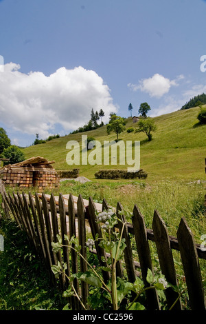 Die Rarau Berge Teil der Ostkarpaten, Bukowina, Südrumänien Stockfoto