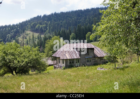 Die Rarau Berge Teil der Ostkarpaten, Bukowina, Südrumänien Stockfoto