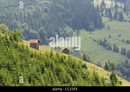 Die Rarau Berge Teil der Ostkarpaten, Bukowina, Südrumänien Stockfoto