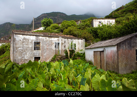 Verlassenen Scheunen in einem kleinen Feld Ernten in Faja Grande auf der Insel Flores auf den Azoren. Stockfoto