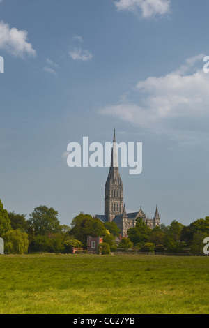 Kathedrale von Salisbury in den West Harnham Strandwiesen. Stockfoto