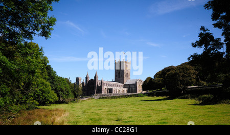 St. Davids Kathedrale in der Stadt von St. David's in Wales gerahmt unter einem Feld, blauer Himmel und Bäume an einem Spätsommertag. Stockfoto