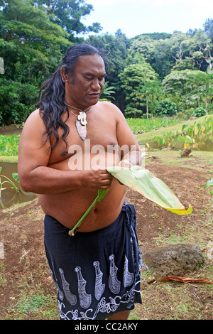 Spiritueller Führer/Führer Lawrence Kalainia veranschaulicht Verwendung von tropischen Pflanzen im Halawa Valley, Molokai, Hawaii, USA. Stockfoto