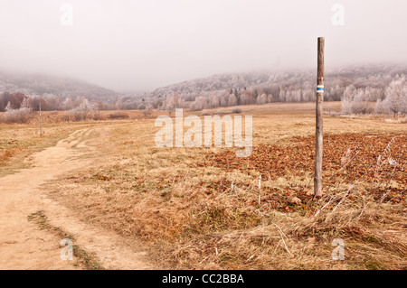 Bergweg im Bieszczady-Gebirge. Bäume von Frost abgedeckt. Stockfoto