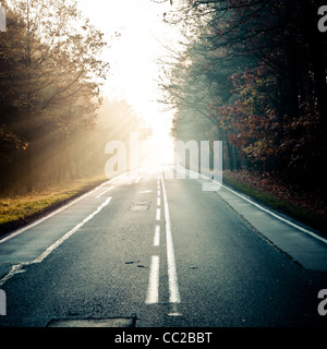 Waldweg in den Nebel. Strahlen der Sonne durch den Nebel. Stockfoto