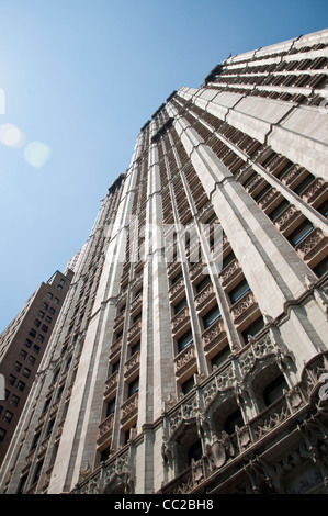 Woolworth Building in New York Stockfoto