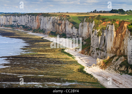 Klippen in der Nähe von Etretat und Fecamp, Normandie, Frankreich Stockfoto