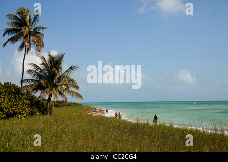 Sandspur Strand, Bahia Honda State Park, Florida Keys, Florida, USA Stockfoto