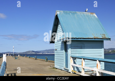 Petone Kai mit Blick auf Wellington City über Wellington Harbour, New Zealand. Stockfoto