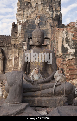 Affen auf die Ruinen von Prang Sam Yot, Lopburi, Asien Stockfoto