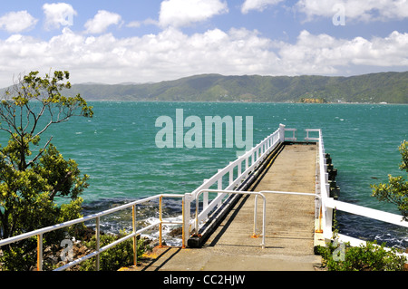 Küstenlandschaft Wellington, Neuseeland. Stockfoto