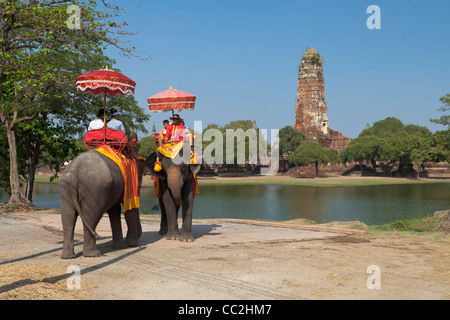 Reiten Sie einen Elefanten bei einem Besuch Geschichtspark Ayutthaya; im Tempel Wat Phra Ram, Ayutthaya, Thailand Stockfoto