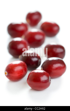 frische Cranberries isoliert auf weißem Hintergrund Stockfoto