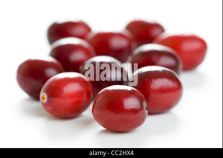 frische Cranberries isoliert auf weißem Hintergrund Stockfoto