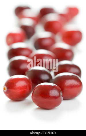 frische Cranberries isoliert auf weißem Hintergrund Stockfoto