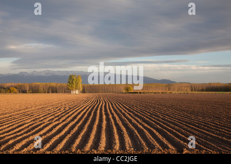 Acker in der Nähe von Sierra Nevada im starken Abendlicht, Provinz Granada, Spanien. Stockfoto