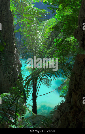 SA Phra Nang (holy Princess Pool), eine Lagune in Laem Phra Nang, Railay, Thailand. Stockfoto