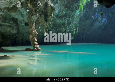 SA Phra Nang (holy Princess Pool), eine versteckte Lagune in Laem Phra Nang, Railay, Thailand. Stockfoto