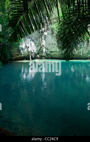 SA Phra Nang (holy Princess Pool), eine versteckte Lagune in Laem Phra Nang, Railay, Thailand. Stockfoto