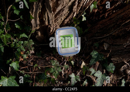 Kleinen Tupperware Geocache-box in Wald Umgebung umgeben von Efeu Stockfoto