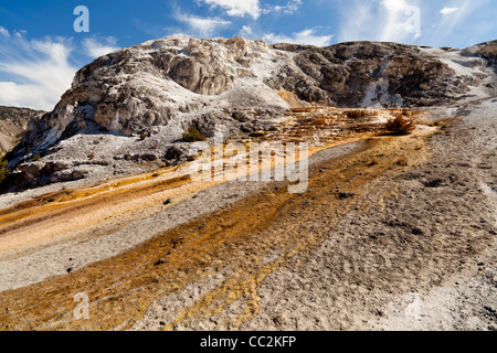 Mammoth Hot Springs ist ein großer Bereich Travertin Formationen im Yellowstone National Park. Die Federn, um sich von den Norris Geyser Basin über einen unterirdischen Störung gefüttert werden. Die durchschnittliche Temperatur des Wassers in diese Quellen sind 170 Grad Fareinheit. Über zwei Tonnen Kalziumkarbonat sind in den Quellen jeden Tag, sodass die Anhäufung der Terrassen deposted. Diese Feder wurde wieder aktiv im Jahr 2009, und hat damit begonnen, eine beeindruckende Reihe von Terrassen. Stockfoto