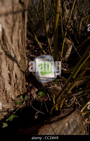 Kleinen Geocache-Box in der Nähe von Bäumen in einem Wald-Umgebung Stockfoto