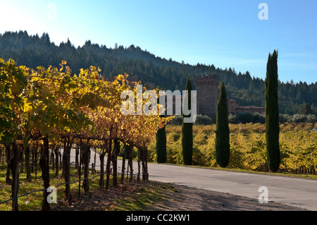 Auffahrt zum Castello di Amorosa ein italienisches Schloss Weingut im nördlichen Teil des Napa Valley in Kalifornien Stockfoto