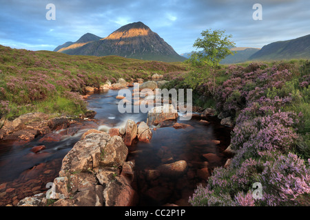 Sunrise malt die Flanke der Buachaille Etive Mor in Schottland Stockfoto