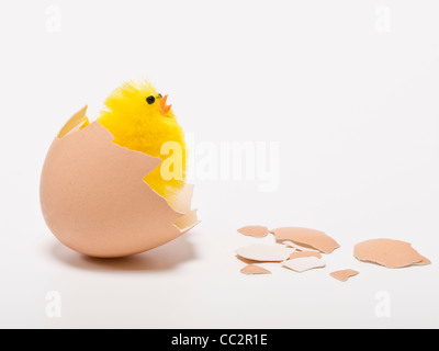 eine Küken (Spielzeug) befindet sich in einem gebrochenen Eierschale Stockfoto
