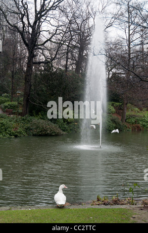 Botanischer Garten (Kruidtuin - Le Botanique) Stockfoto