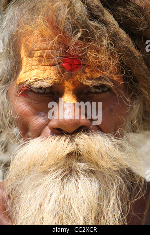 Nahaufnahme Portrait des bunten Sadhu heiligen Mannes, Kathmandu, Nepal Stockfoto