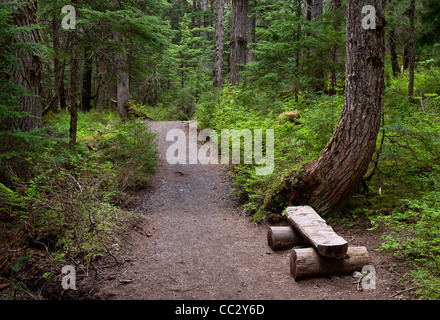 Wanderweg, Sieger Creek, Chugach National Forest, Alaska, USA Stockfoto