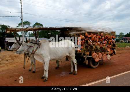 Rinder oder Kühe ziehen ein Ochsenkarren in eine mobile Street gedreht Stall verkaufen Khmer Keramik, Sihanoukville, Kambodscha. Credit: Kraig Lieb Stockfoto