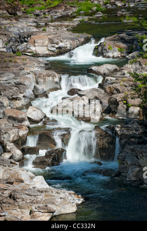 Bull Run Fluss, fließt aus dem Bull Run Watershed in der Nähe von Mount Hood, Oregon. Stockfoto